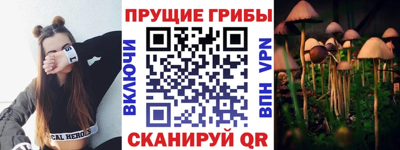 где купить наркоту  Ялуторовск  Псилоцибиновые грибы GOLDEN TEACHER 